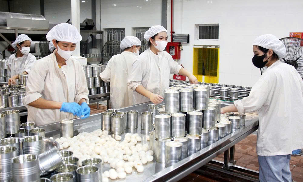  Lục Ngạn: Đẩy mạnh chế biến vải thiều